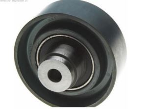 Auto Parts Idle Pulley for Skoda (OEM# 038109244M)